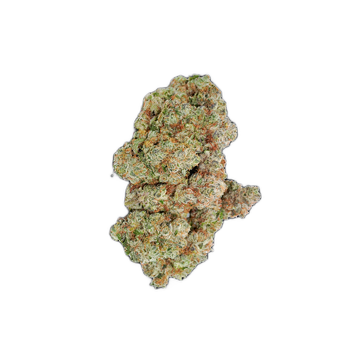 avaay signature 29/1 OGC Ocean Grown Cookies